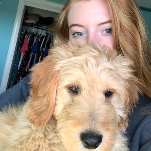 Meet your Posher, Emma